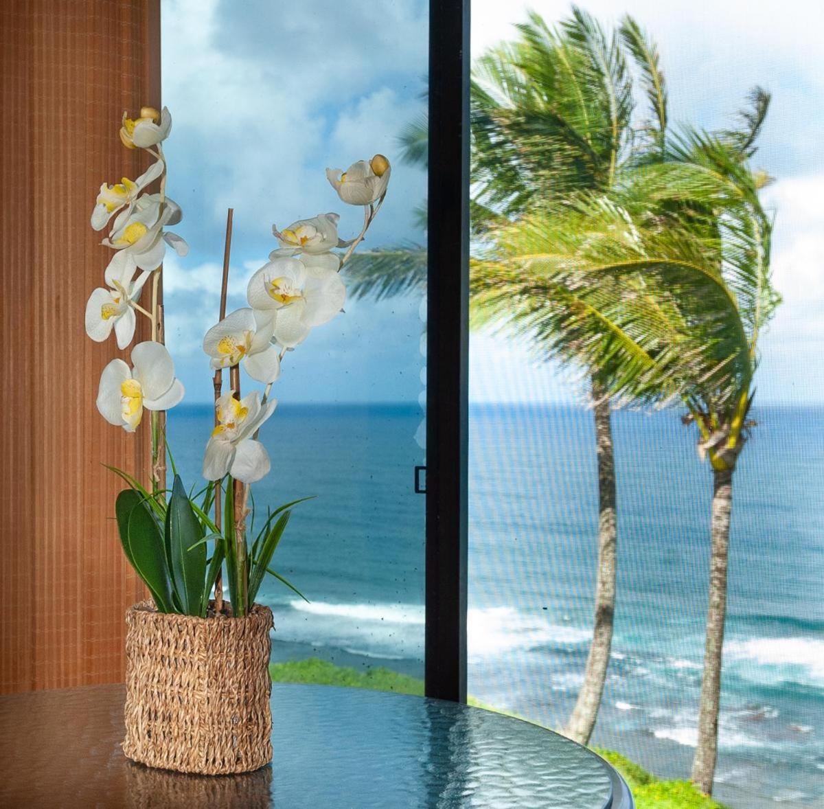 Sealodge D7 Princeville Exterior photo